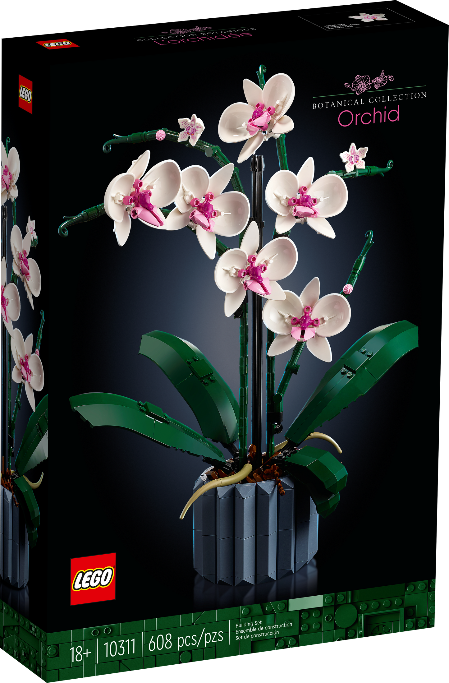 LEGO 10311 Orchidea