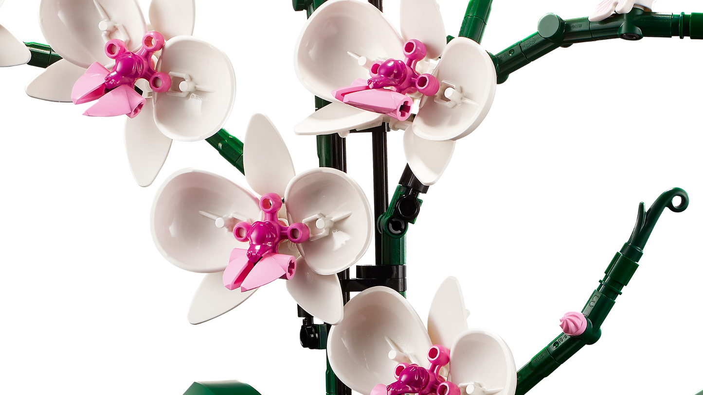 LEGO 10311 Orchidea