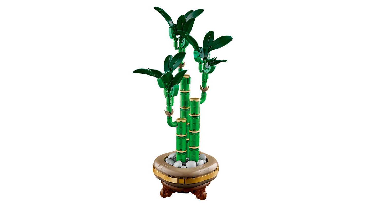 LEGO 10344 Botanicals Bambu del Buon Auspicio