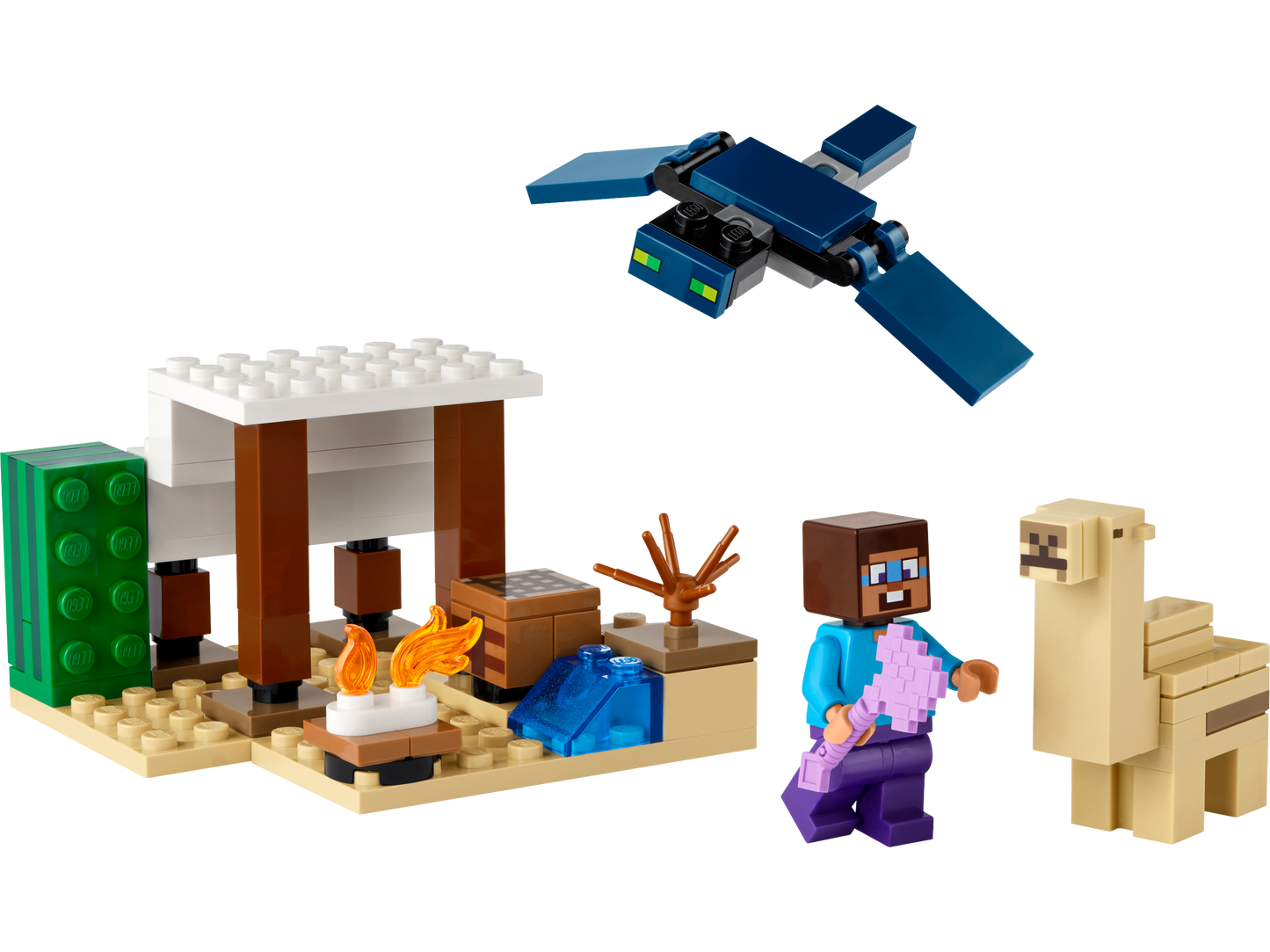 LEGO 21251 Spedizione di Steve nel deserto