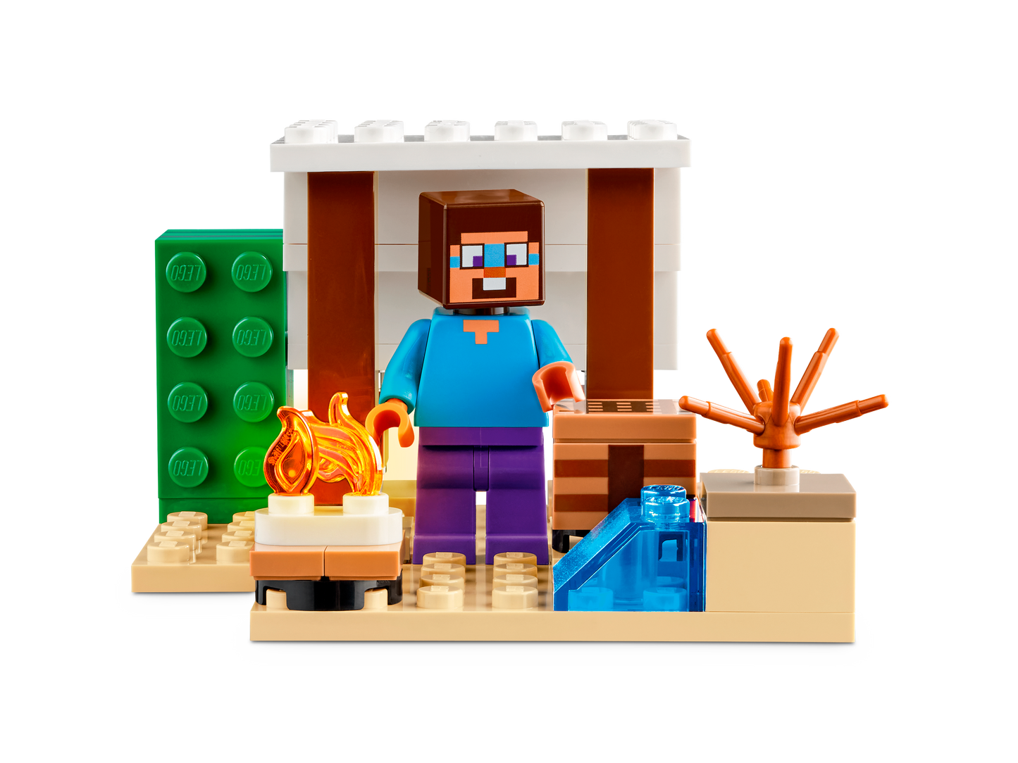 LEGO 21251 Spedizione di Steve nel deserto