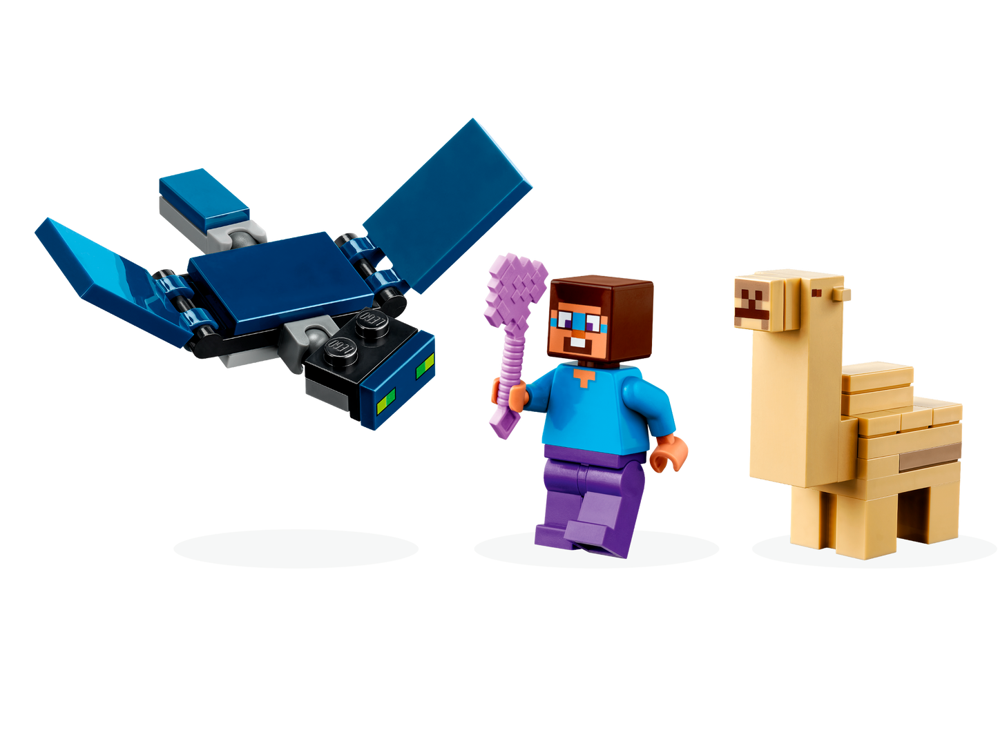 LEGO 21251 Spedizione di Steve nel deserto