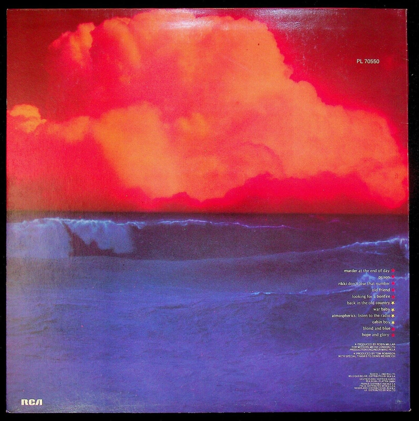 EBOND Tom Robinson Hope And Glory Vinile V062119