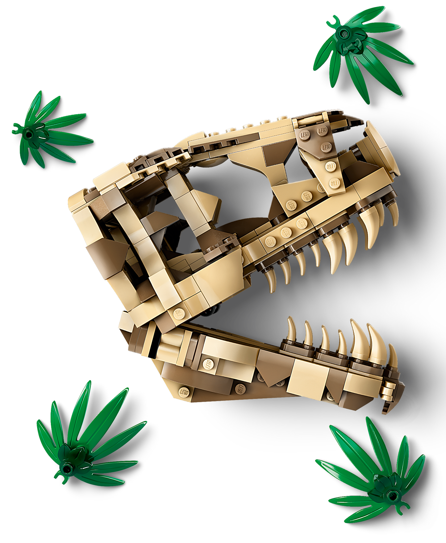 LEGO 76964 Fossili di dinosauro: Teschio di T.rex