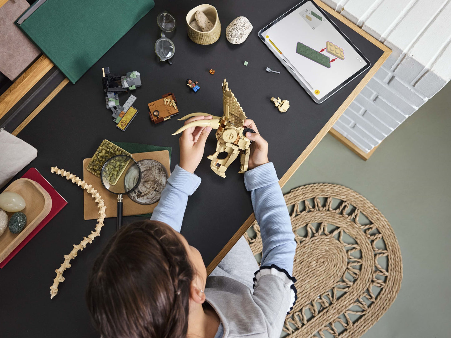 LEGO 76969 Fossili di dinosauro: teschio di Triceratopo