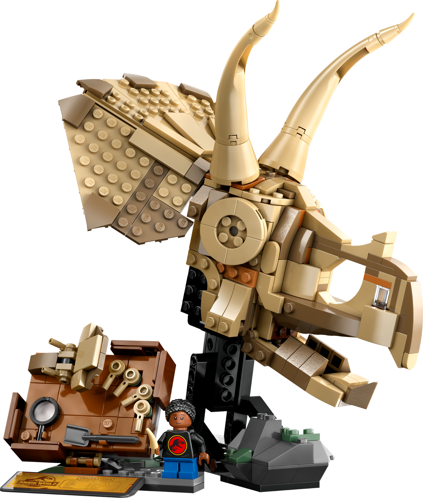 LEGO 76969 Fossili di dinosauro: teschio di Triceratopo