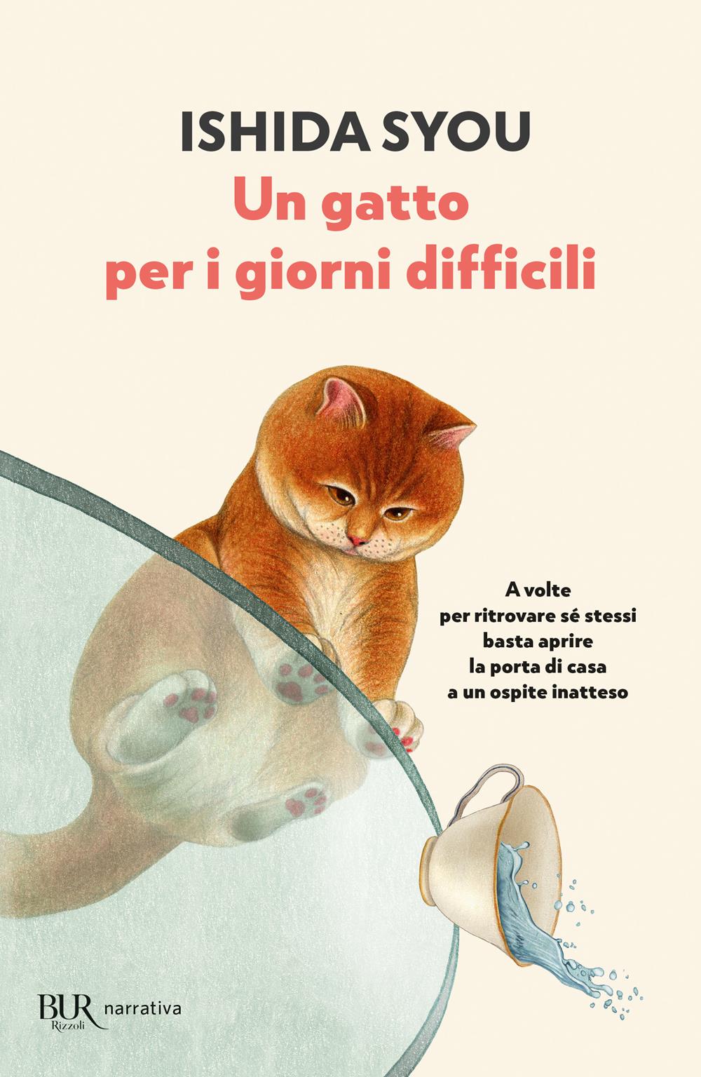Gatto Per I Giorni Difficili (un) - Ishida Syou
