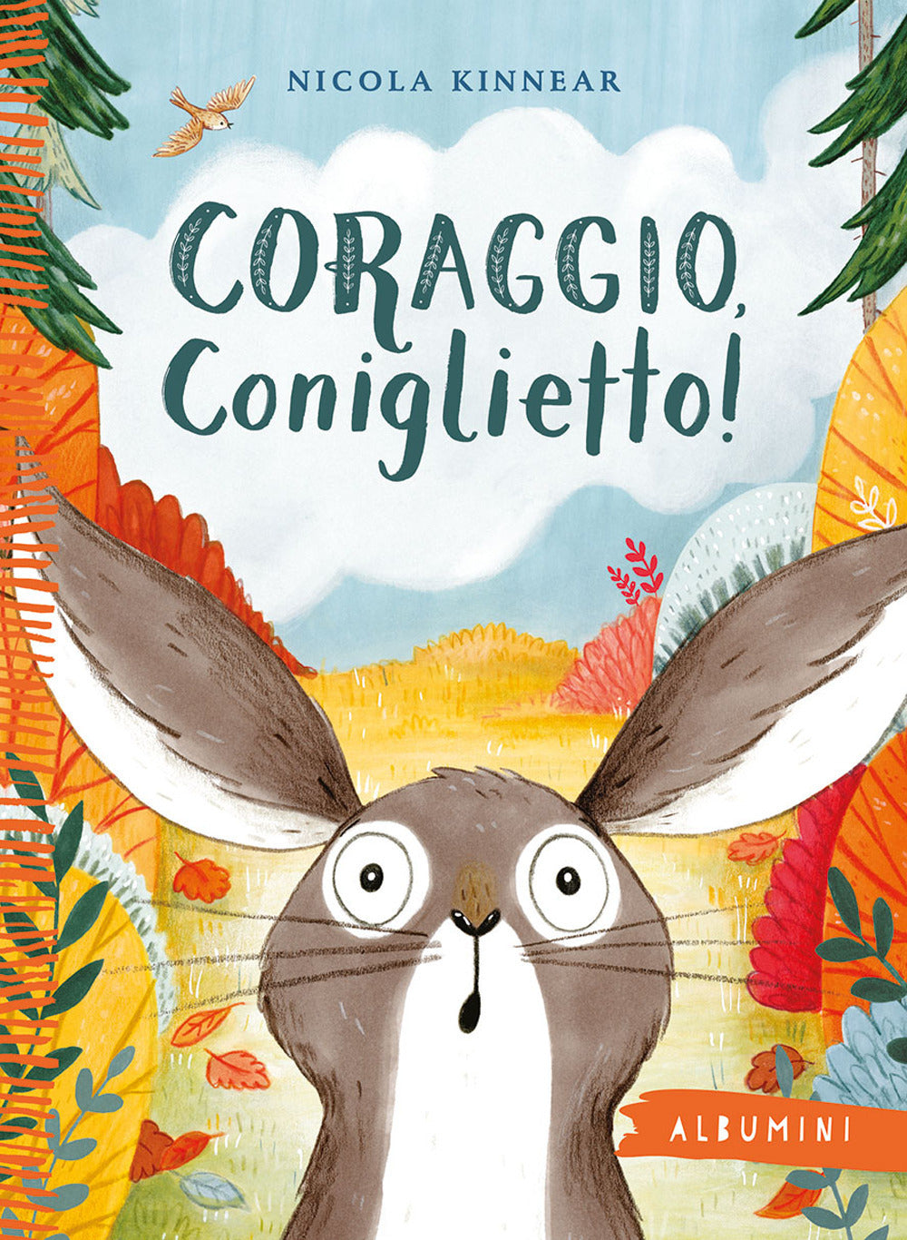 Coraggio, Coniglietto! Ediz. A Colori - Kinnear Nicola
