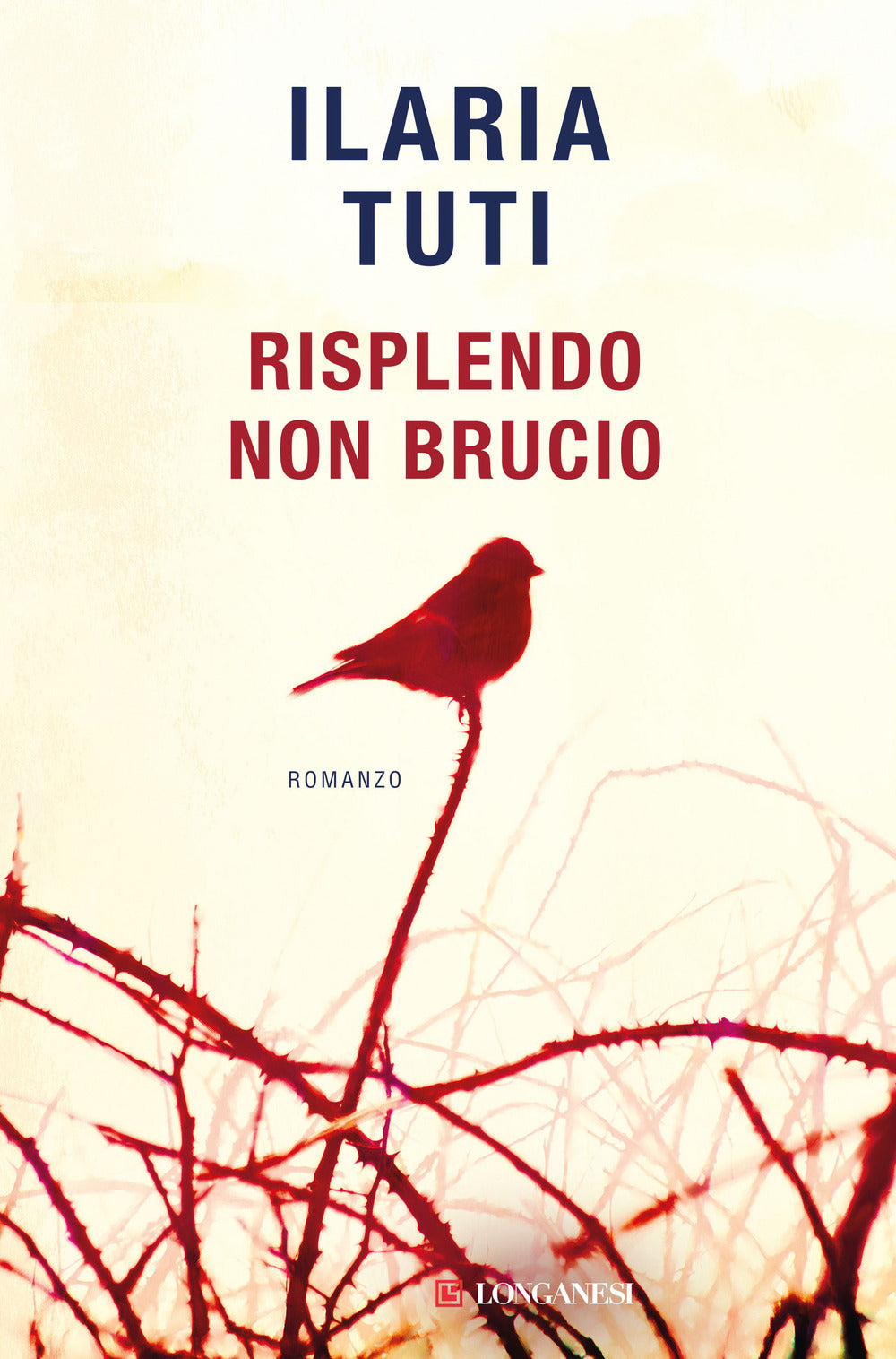Risplendo Non Brucio - Tuti Ilaria