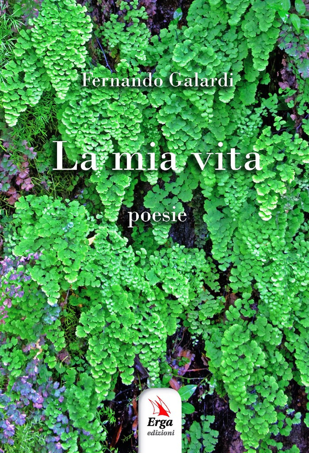 La Mia Vita - Galardi, Fernando