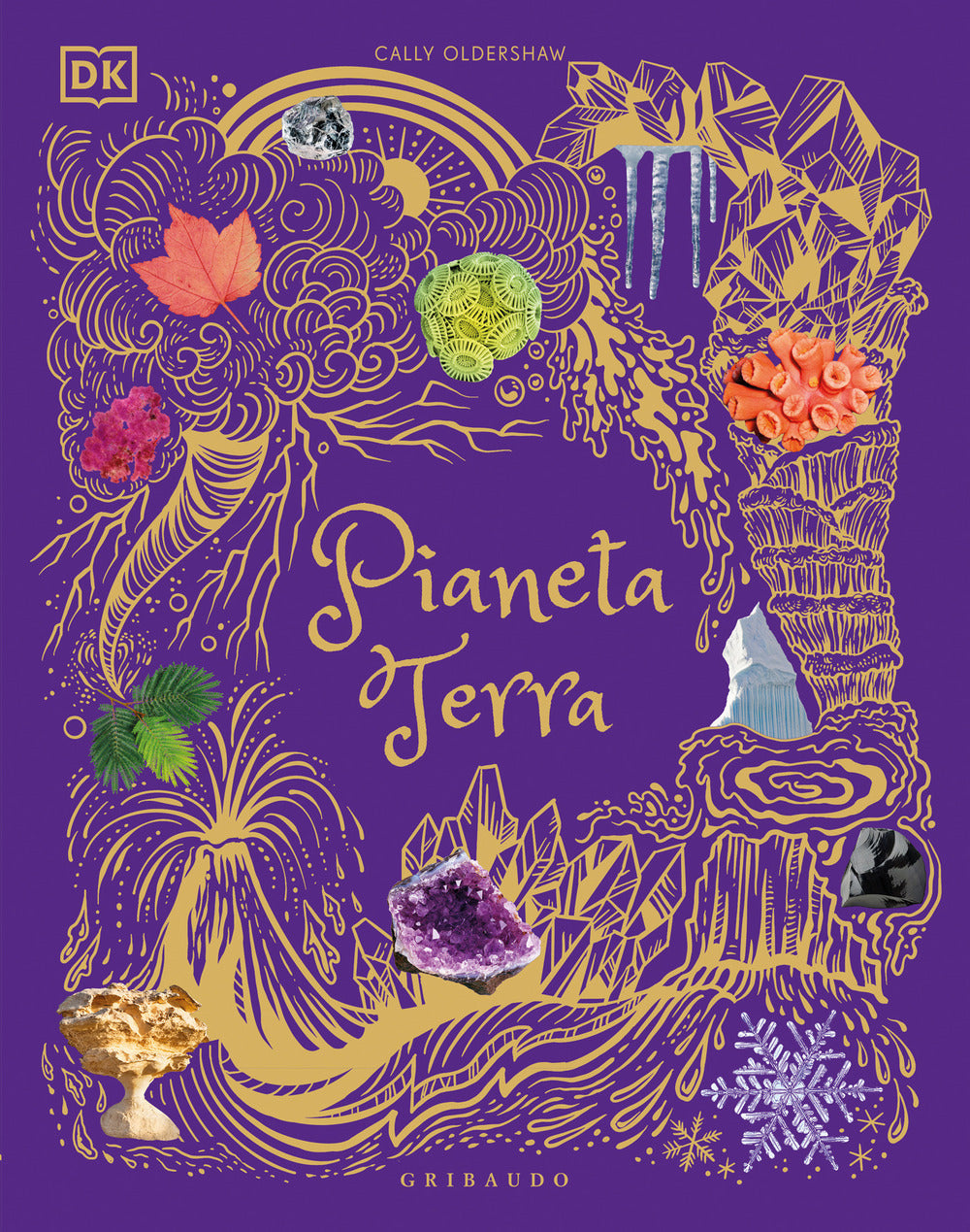 Pianeta Terra. Ediz. Illustrata - Oldershaw Cally