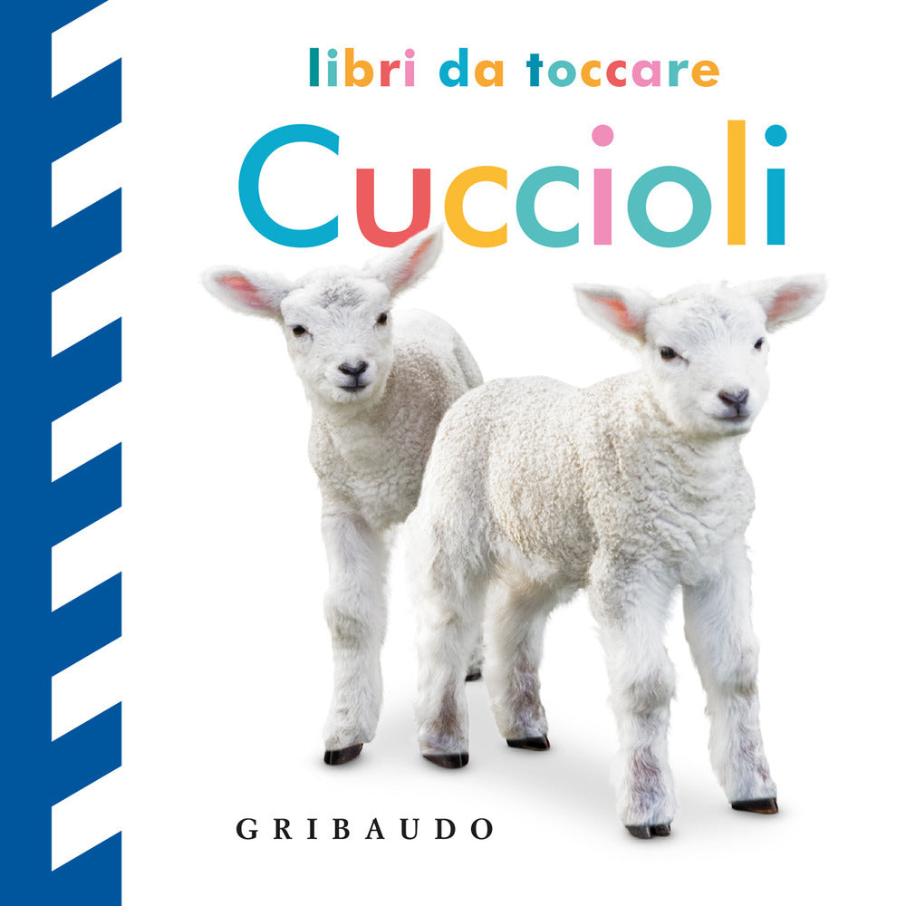 Cuccioli. Libri Da Toccare. Ediz. A Colori -