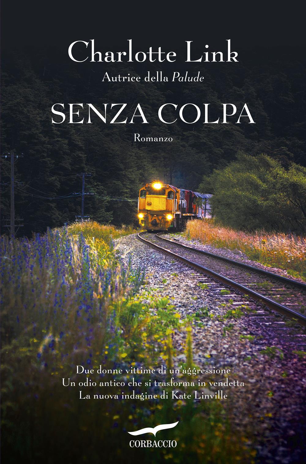 Senza Colpa. Le Indagini Di Kate Linville - Link Charlotte