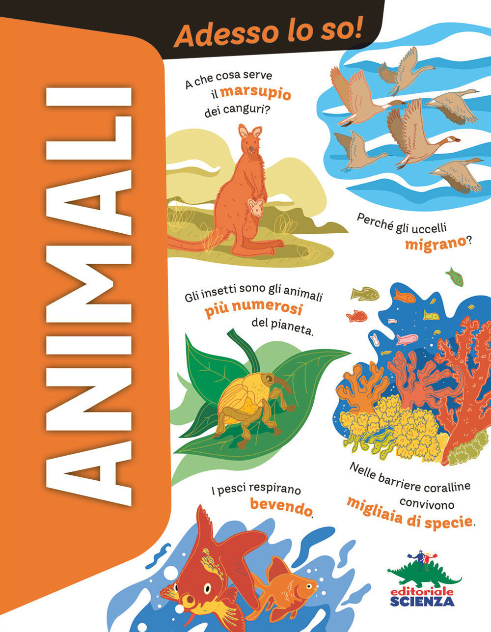 Animali. Adesso Lo So! - Romano, Anna