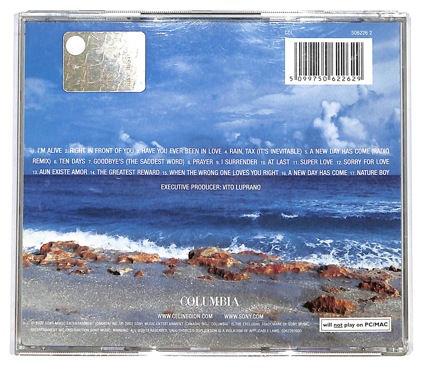 EBOND Celine Dion - A New Day Has Come ALBUM JEWEL CASE CD CD099355
