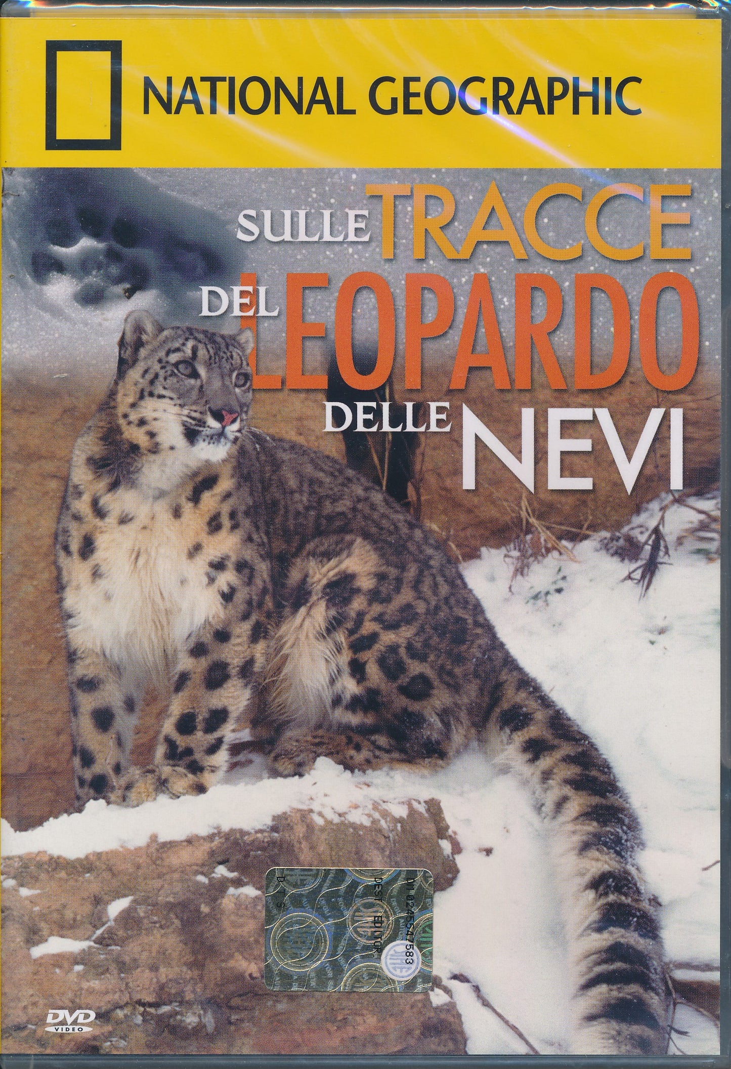 EBOND Sulle tracce del leopardo delle nevi - National Geographic DVD DB006177