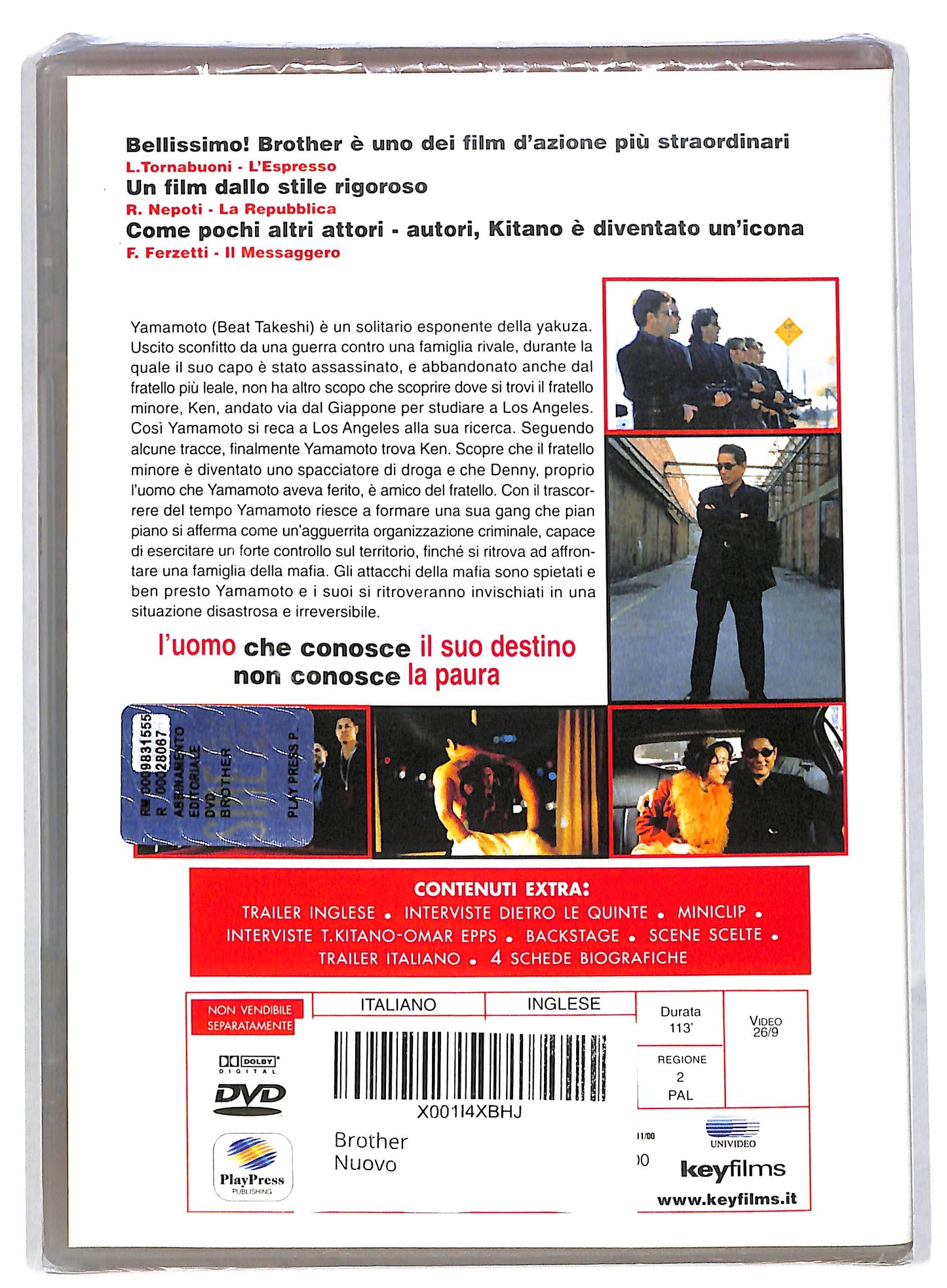 EBOND Brother EDITORIALE DVD DB563239