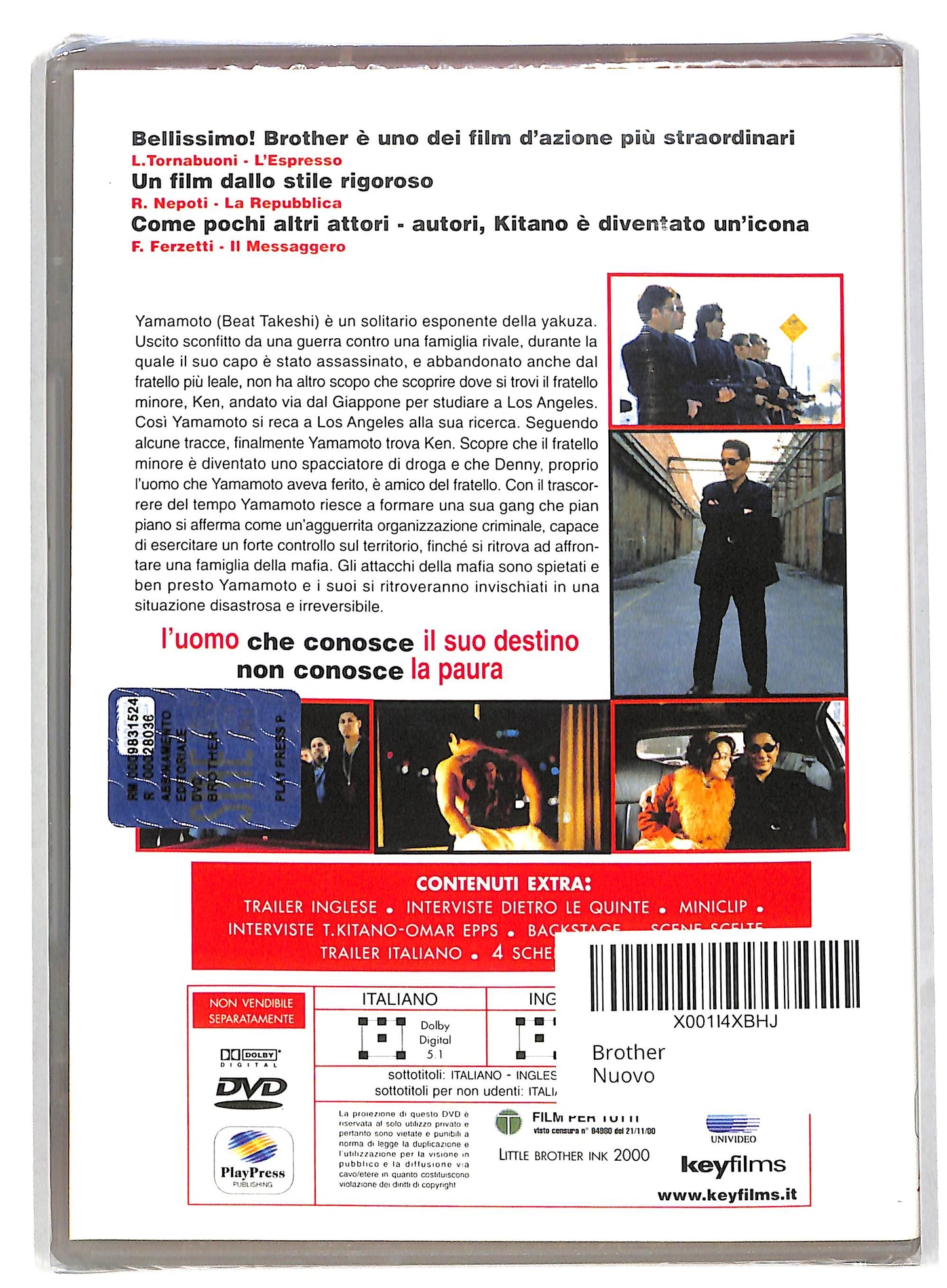 EBOND Brother EDITORIALE DVD DB583206