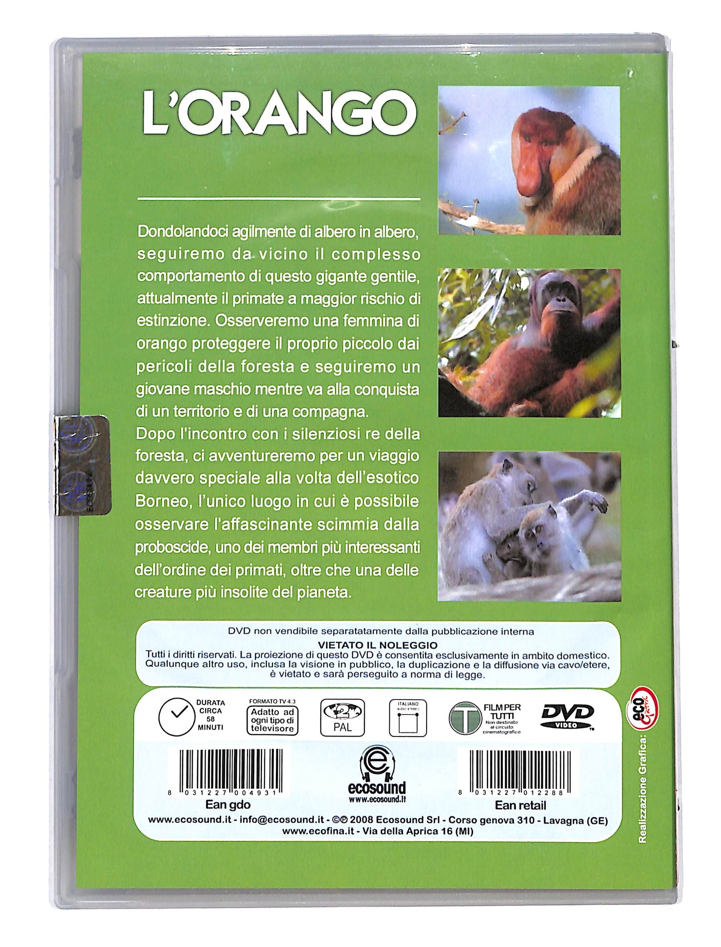 EBOND L'orgango DVD DB587140