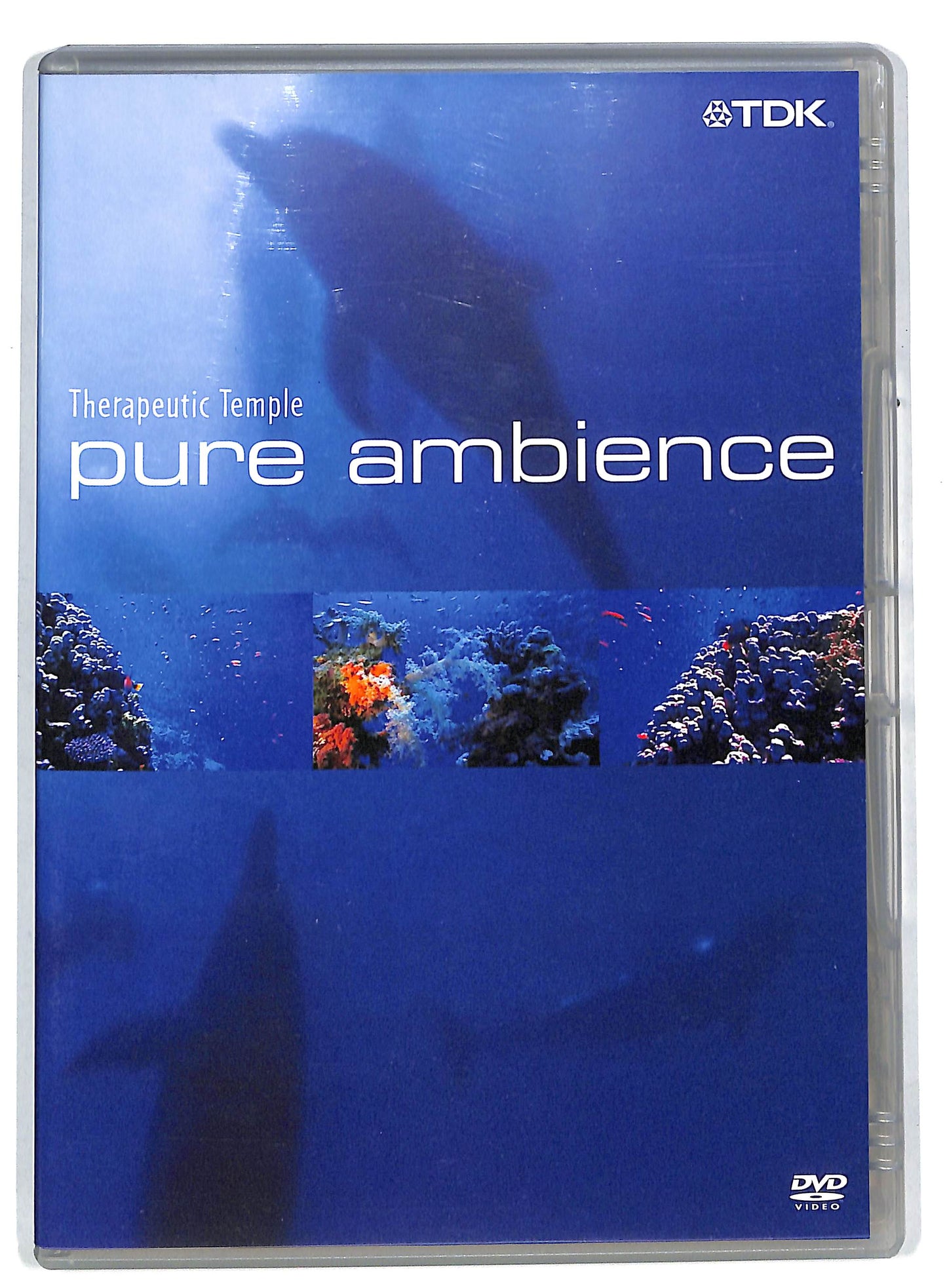 EBOND Pure Ambience - Therapeutic Temple DVD DB601306