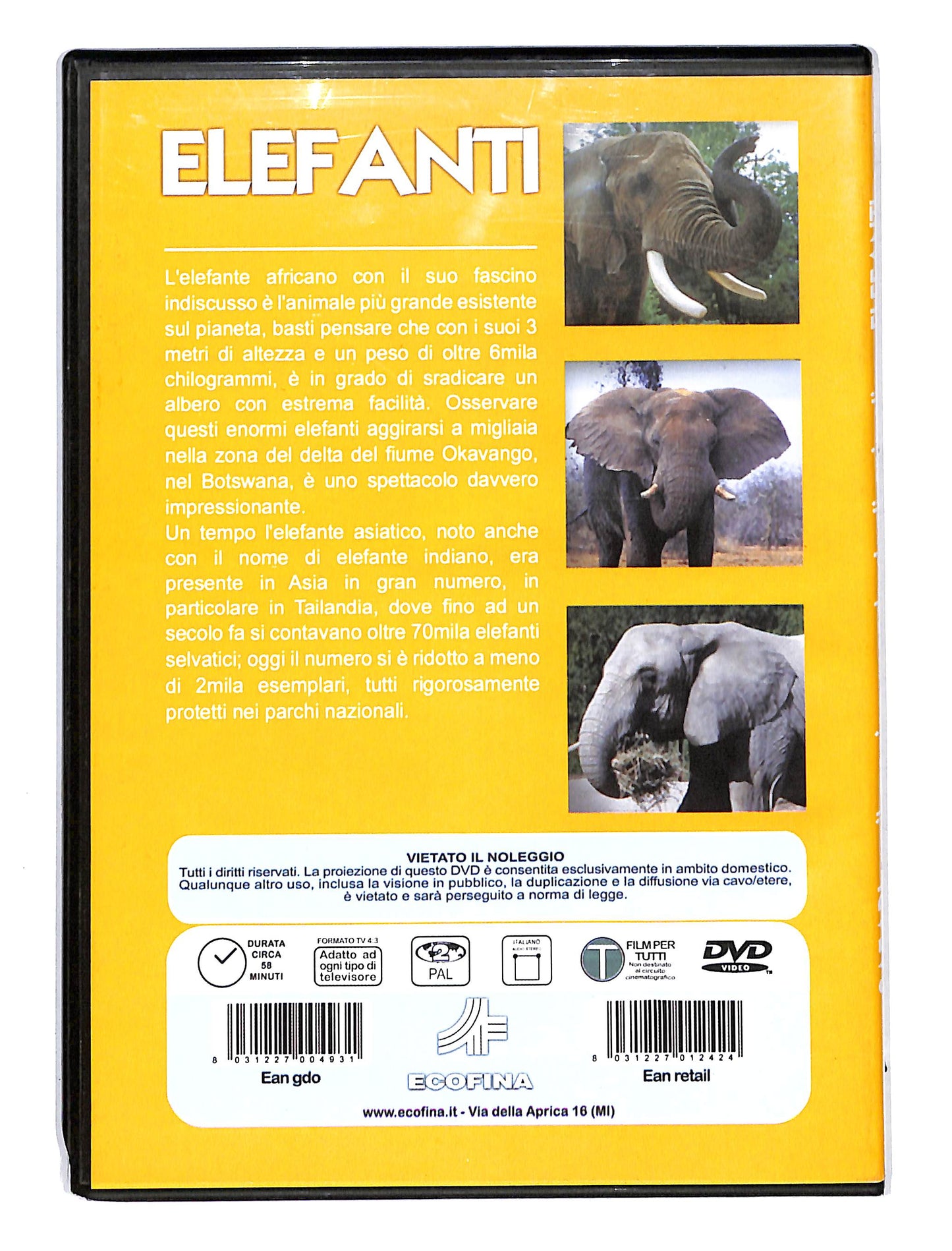 EBOND Safari il magico mondo degi animali - Elefanti DVD DB631822