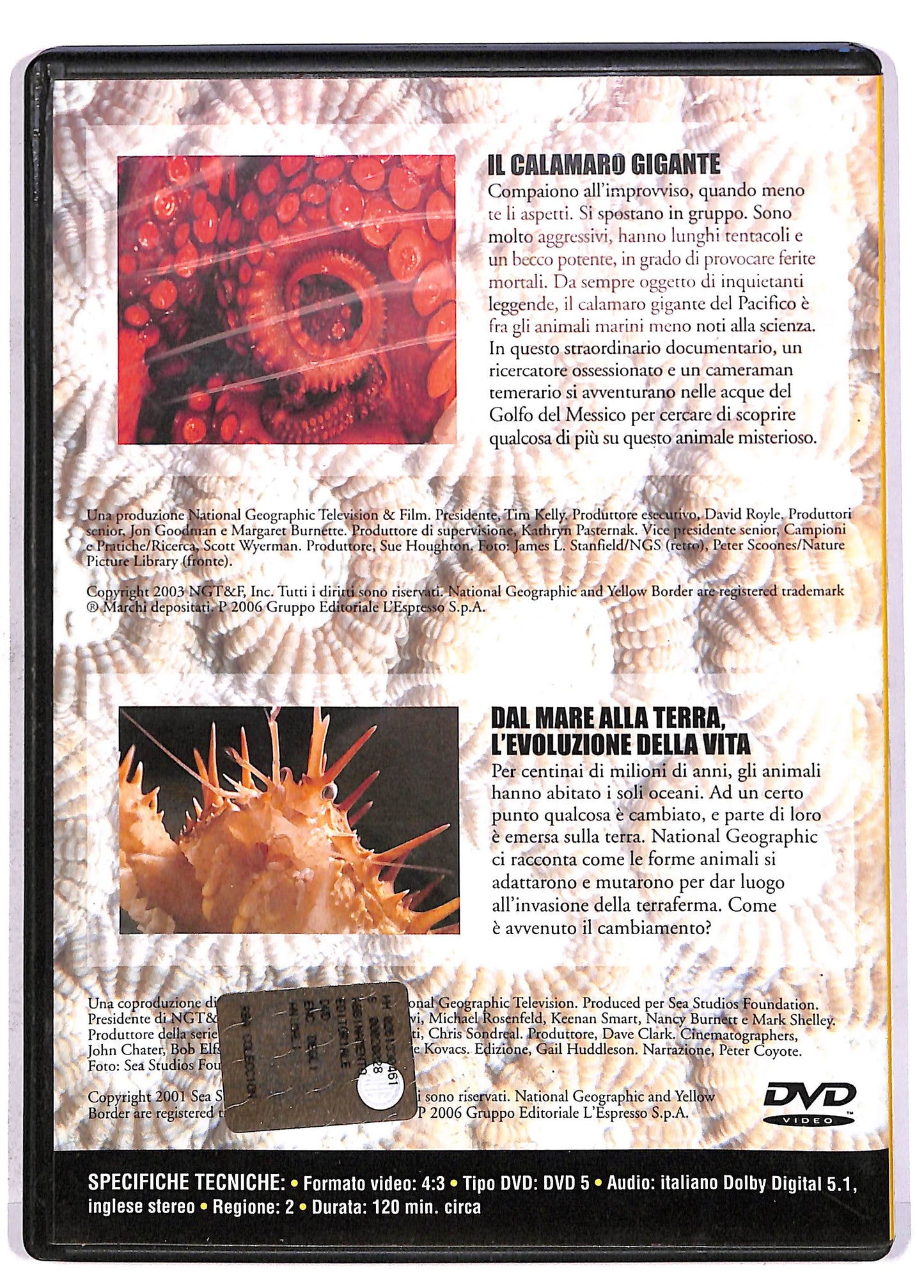 EBOND NG Enciclopedia degli animali Invertebrati I EDITORIALE DVD DB707164