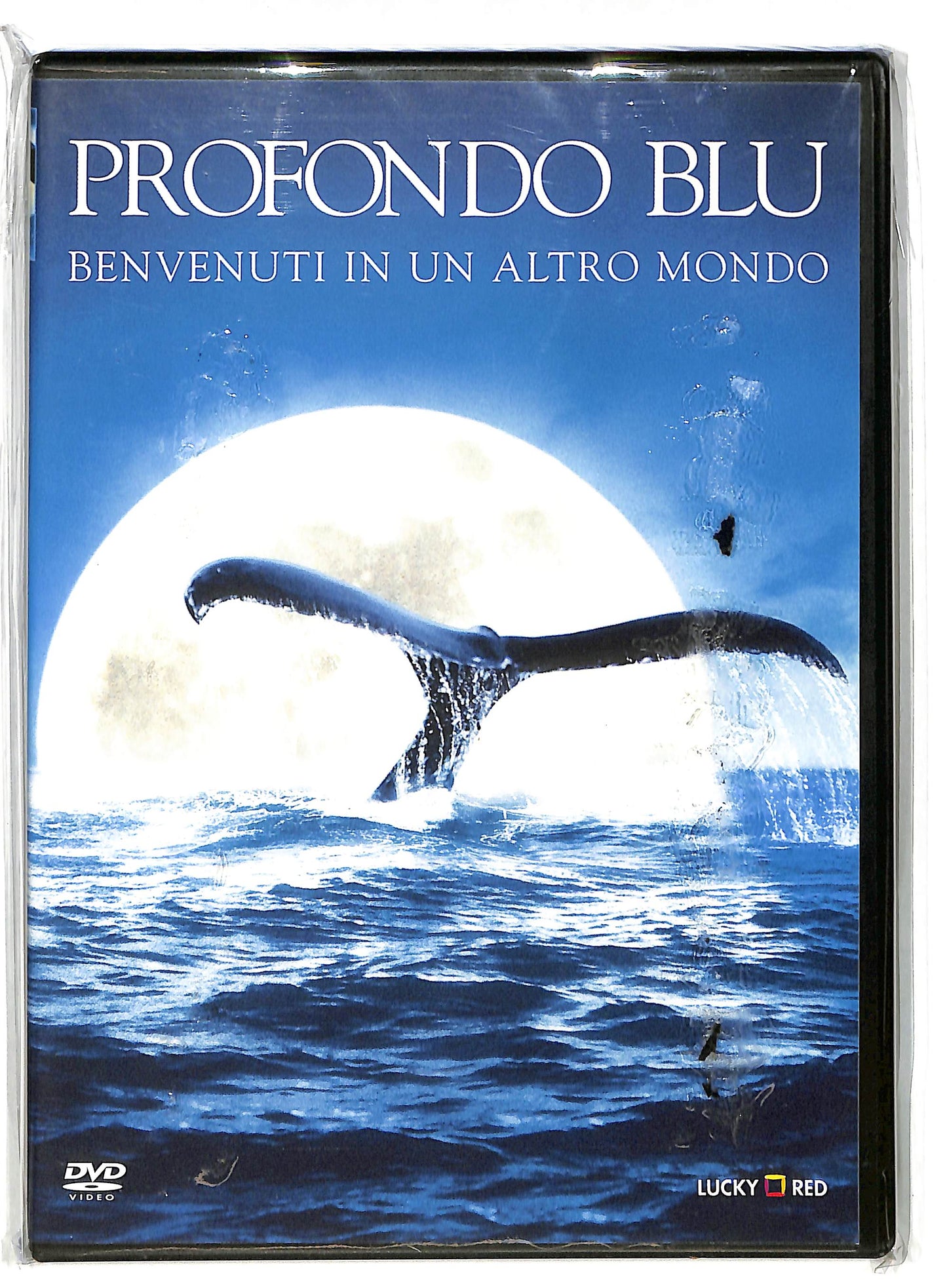 EBOND Profondo Blu DVD DB725143