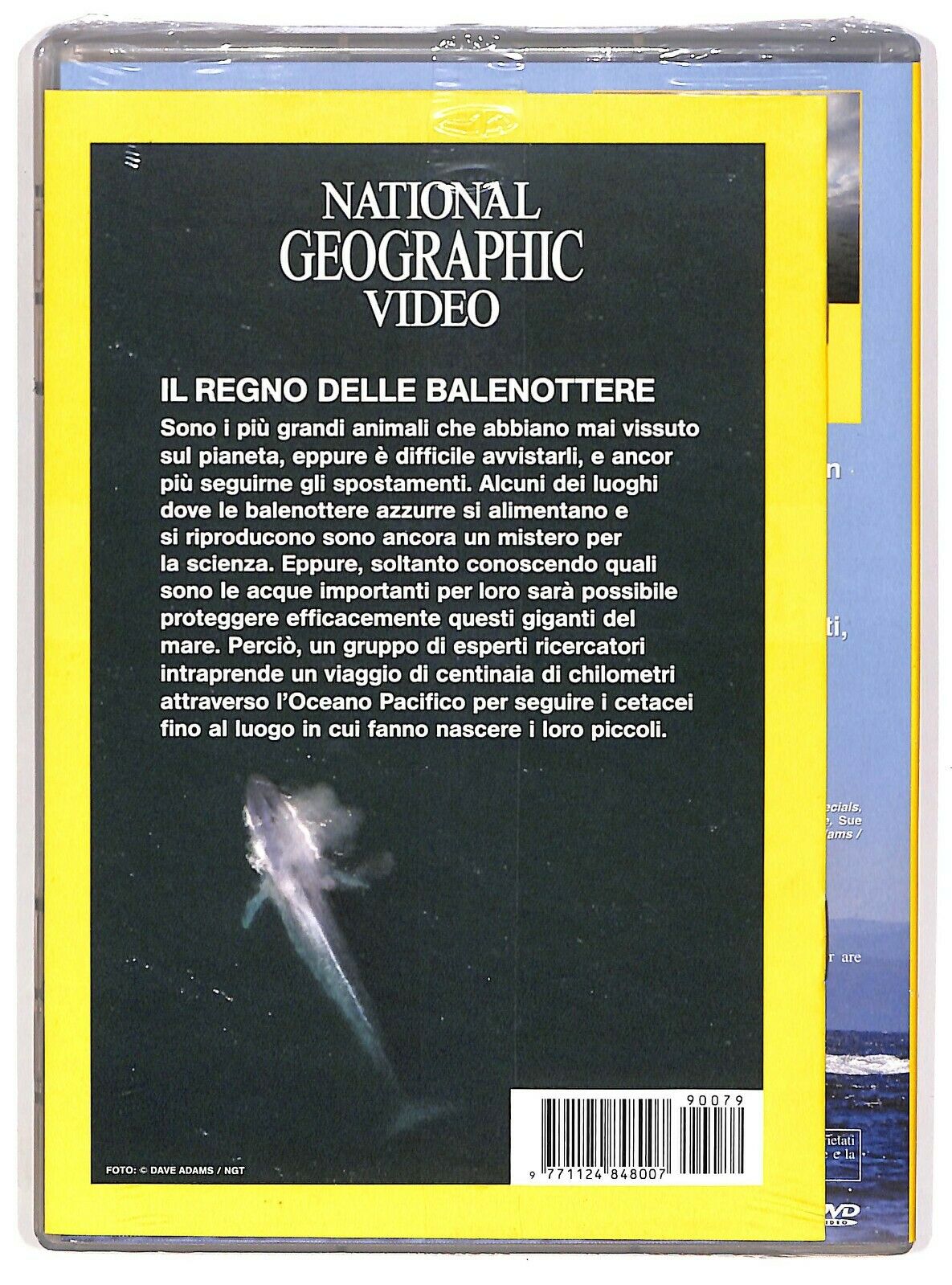 EBOND Balenottere Azzurre Giganti Del Mare National Geographic N.79 DVD DB771714
