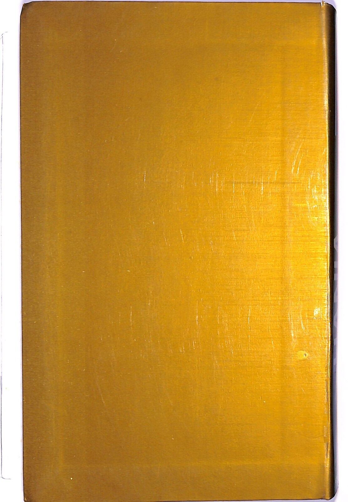 EBOND Hania I Darling N.34 Libro LI003301