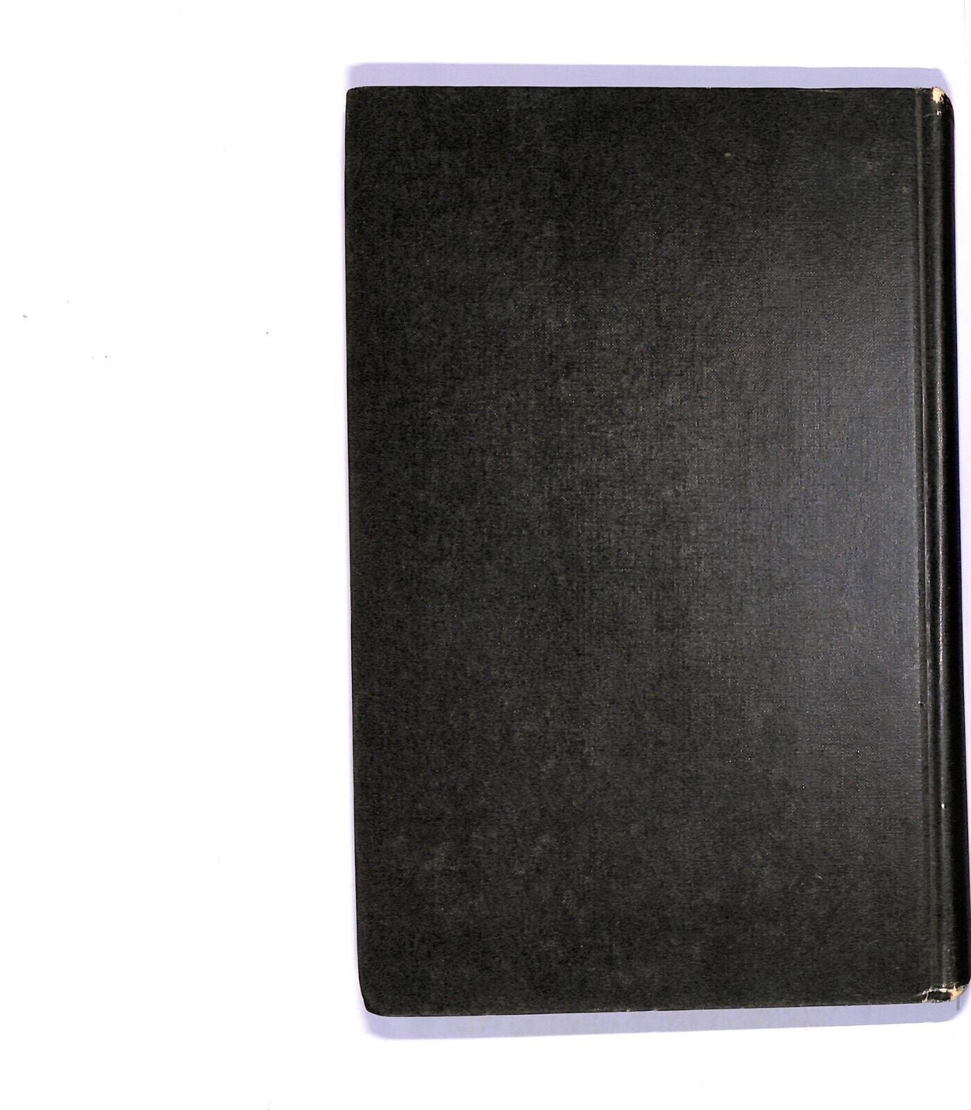 EBOND Giallo Poe Libro LI004764