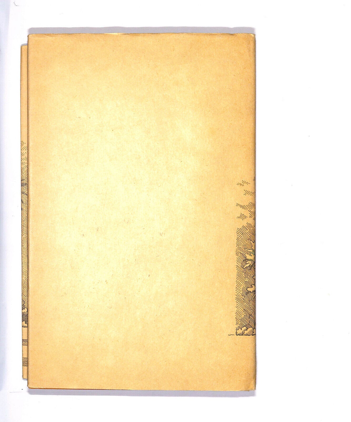 EBOND Vite Degli Uomini Illustri Libro LI008703