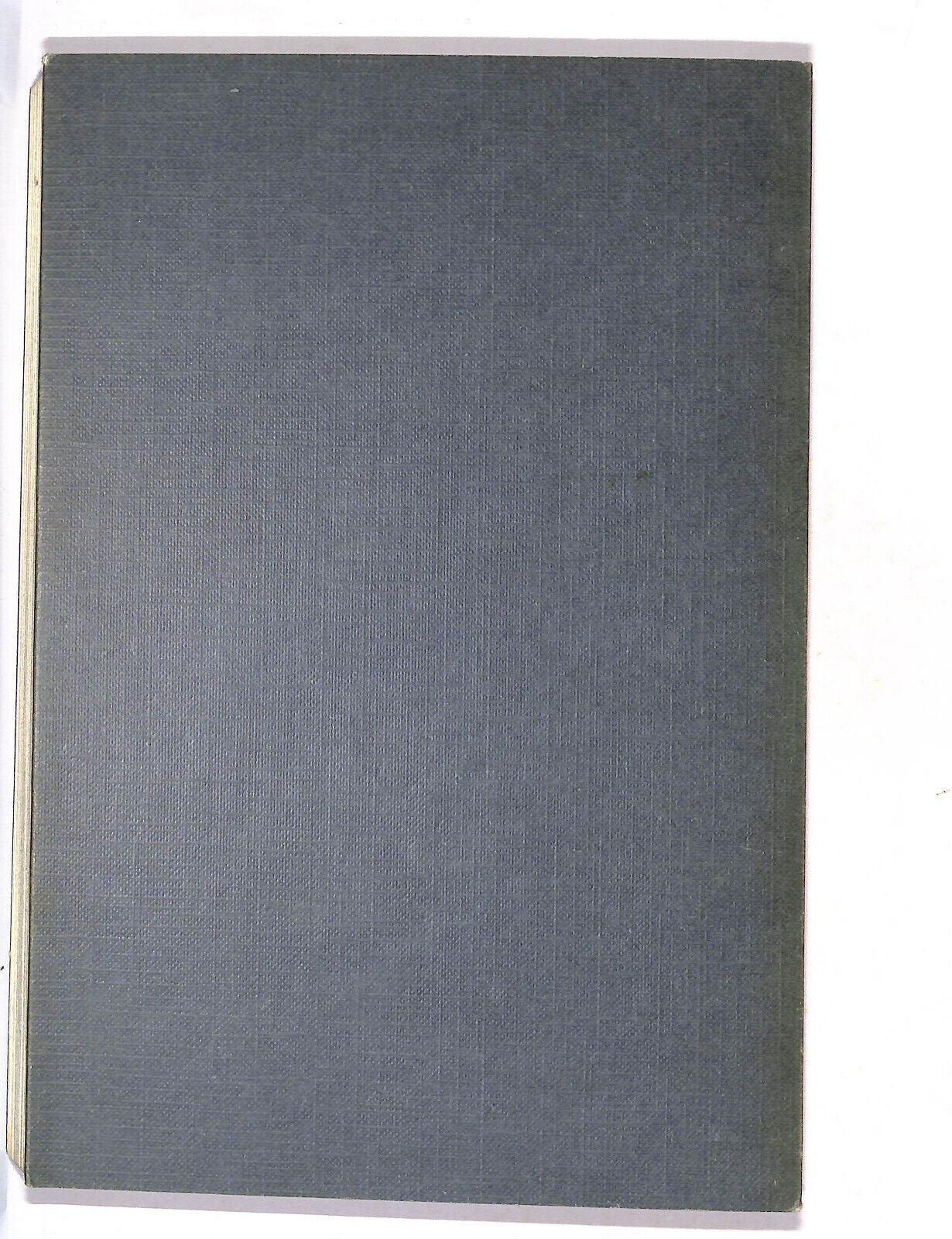 EBOND Il Pesce a Mezz'acqua Libro LI011604