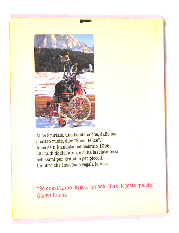 EBOND IlDi Alice Di Alice Sturiale Libro LI013999