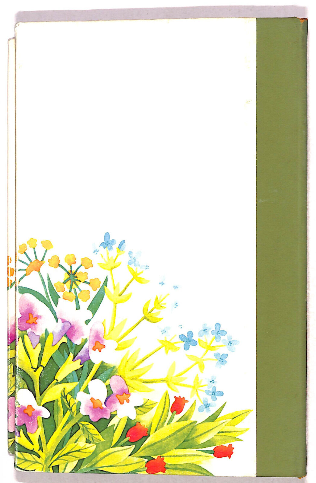 EBOND Le Erbe Nostre Amiche Vol 1 Libro LI020354