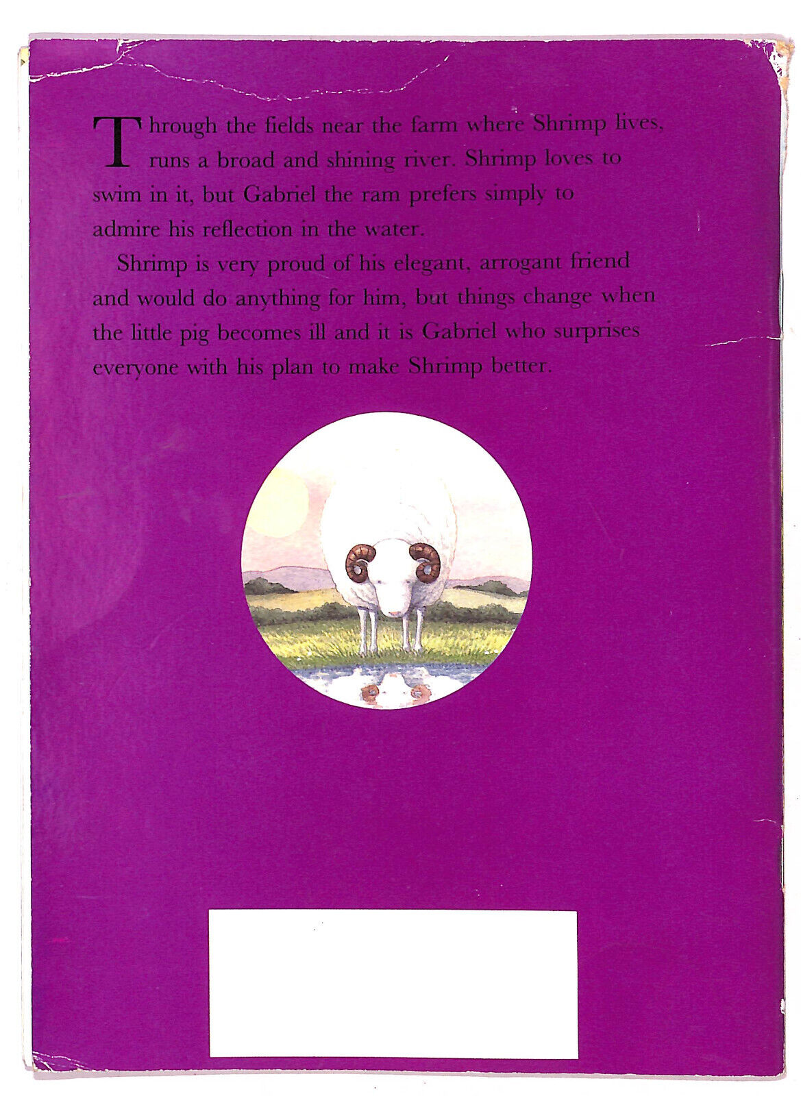 EBOND A Pig Called Shrimp Di Lisa Taylor e Jonathan Langley Libro LI020951