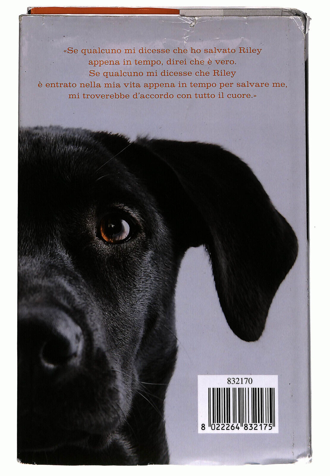 EBOND Quello Che Ho Imparato Da Riley Di Zachary Anderegg Libro LI021652