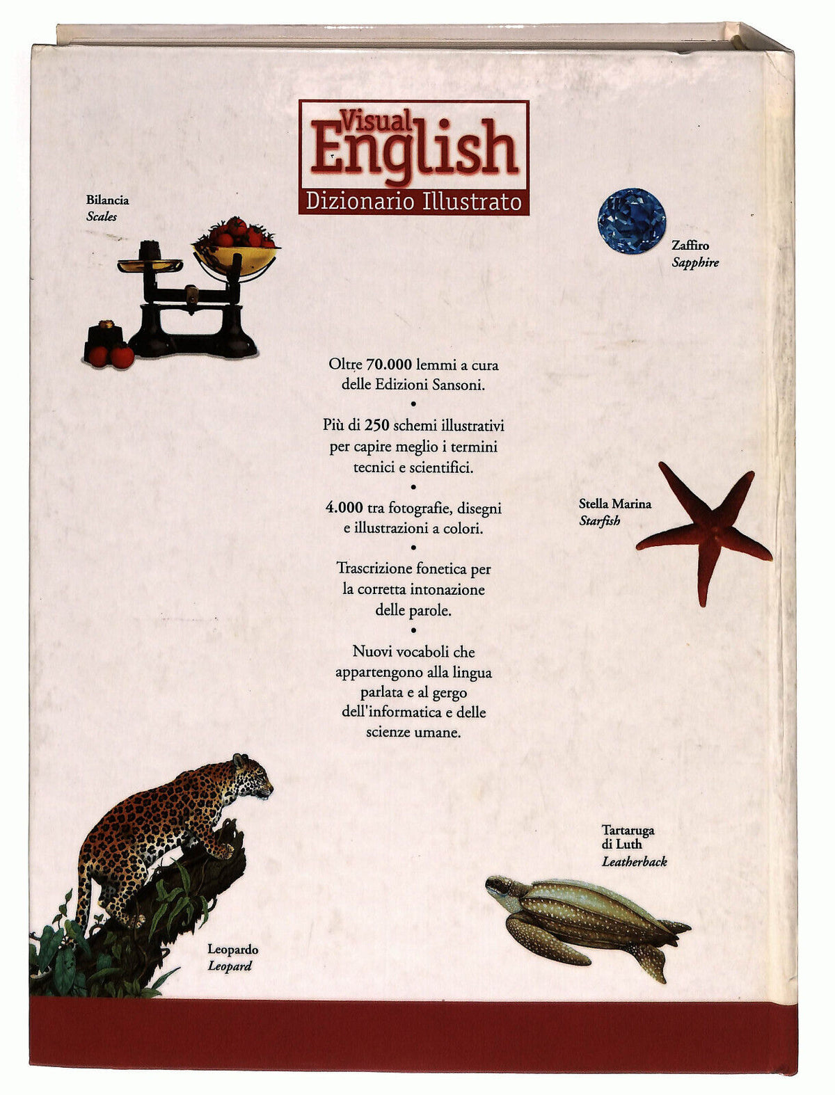 EBOND Visual English Dizionario Illustrato Italiano-inglese Libro LI024104