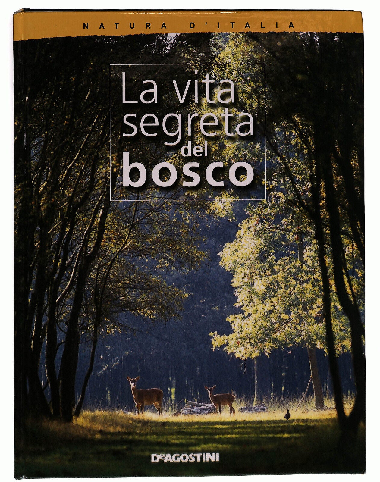 EBOND La Vita Segreta Del Bosco De Agostini Libro LI024368