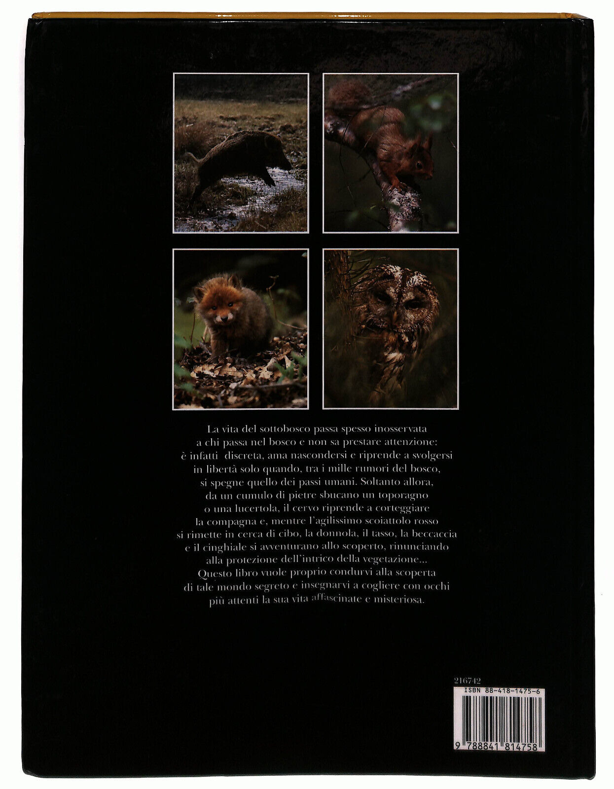EBOND La Vita Segreta Del Bosco De Agostini Libro LI024368