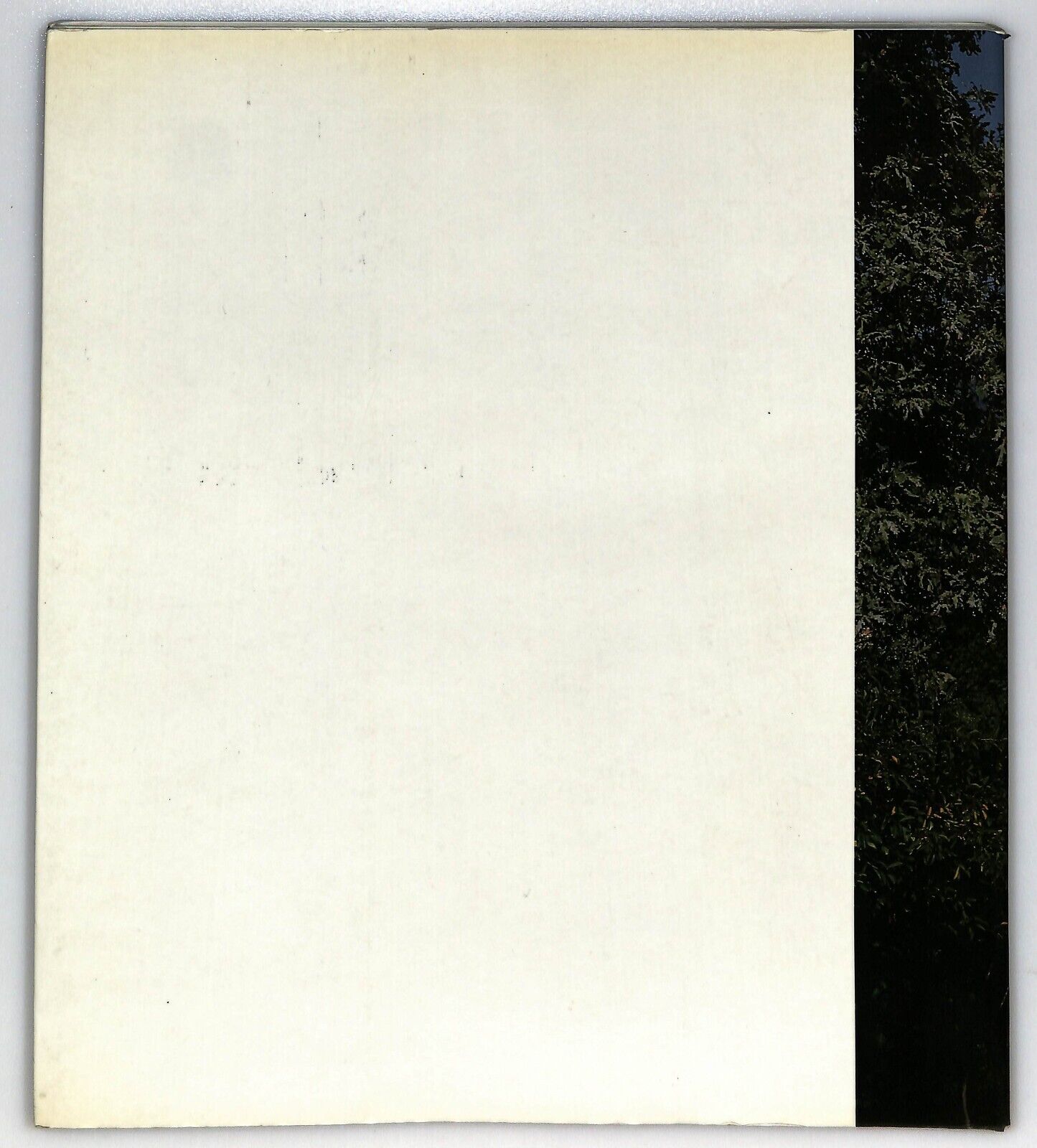 EBOND Giudo Bollani Un Uomo Di Valle Sabbia Libro LI026118