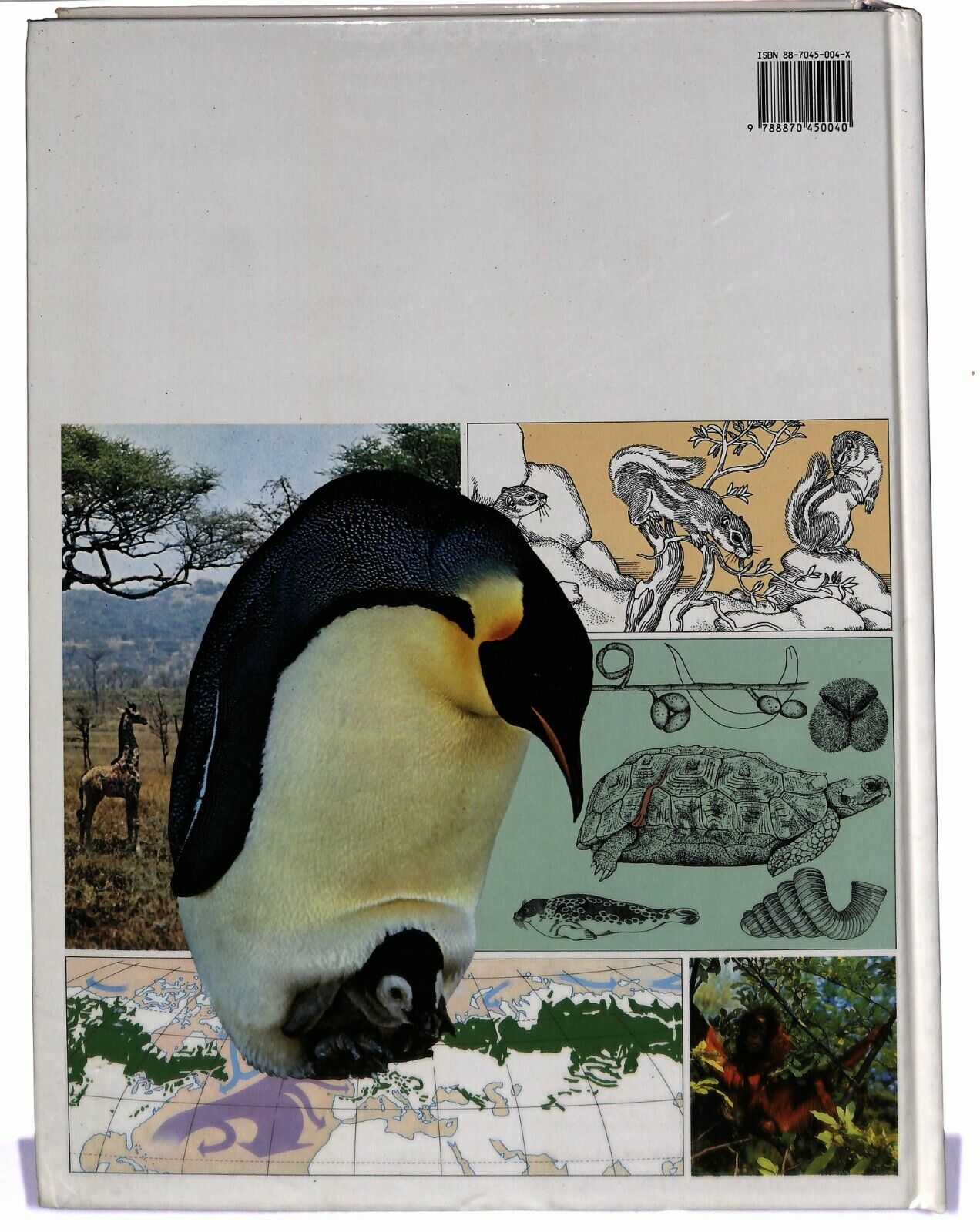 EBOND Il GrandeDegli Animali. Selezione Dal Reader's Diges Libro LI027962