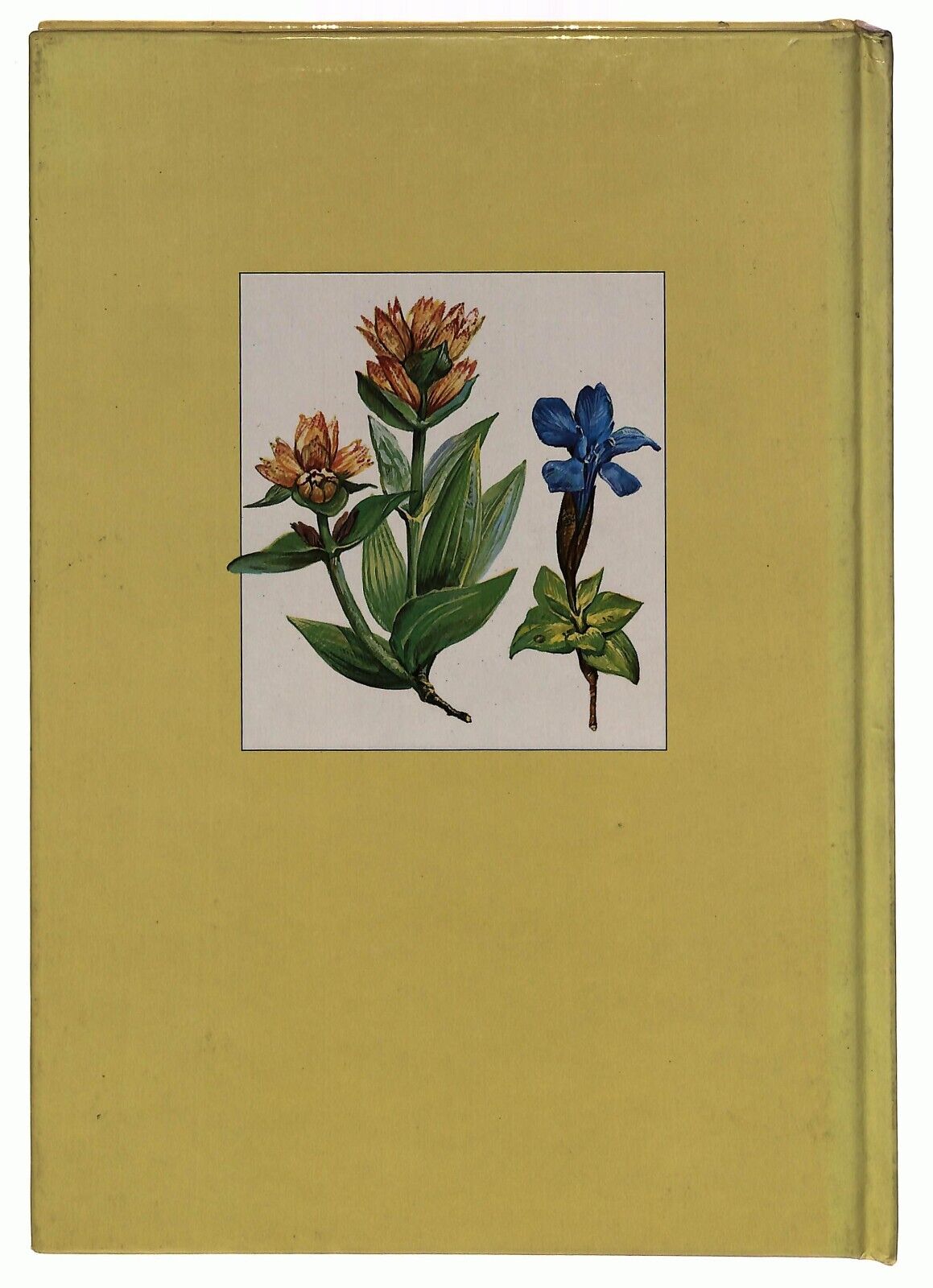 EBOND Le Alpi Guida Alla Natura Dell'arco Fratelli Carli 1986 Libro LI029056