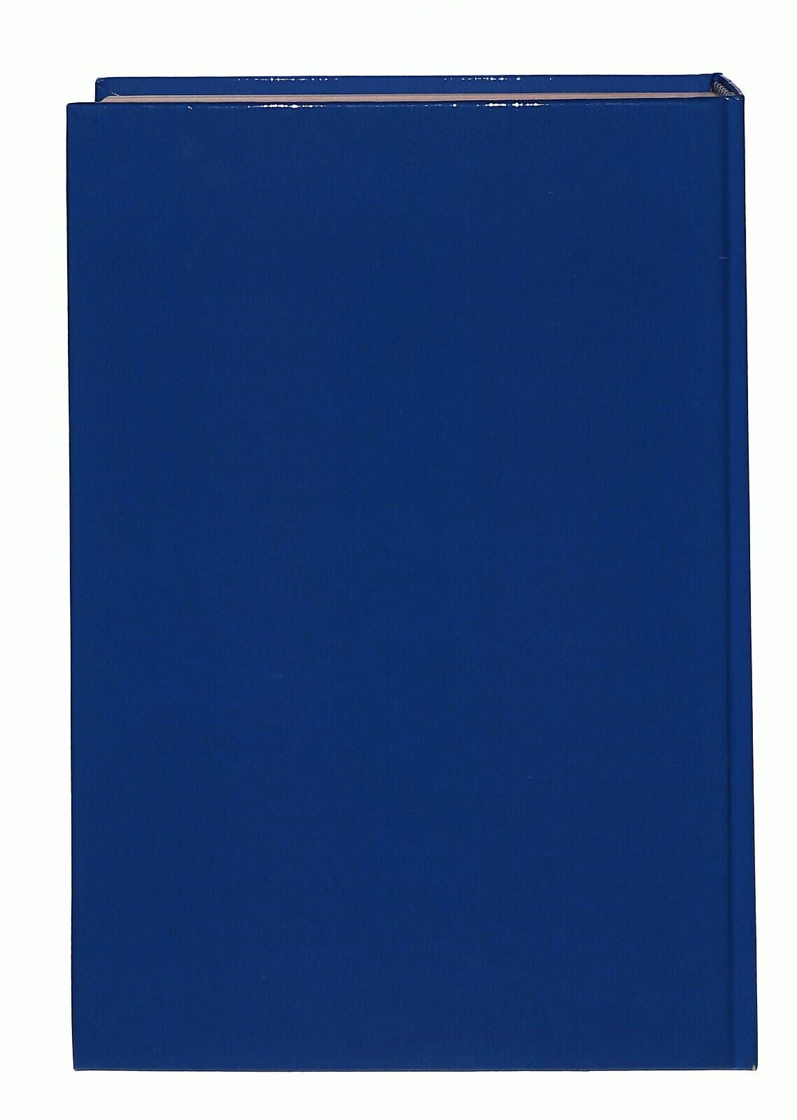 EBOND Almanacco Illustrato Calcio 1978 Edizioni Panini Modena Libro LI030358