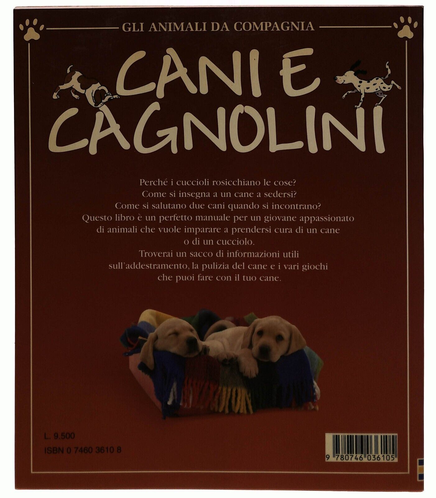 EBOND Cani e Cagnolini Gli Animali Da Compagnia Guida Usborne Libro LI032823