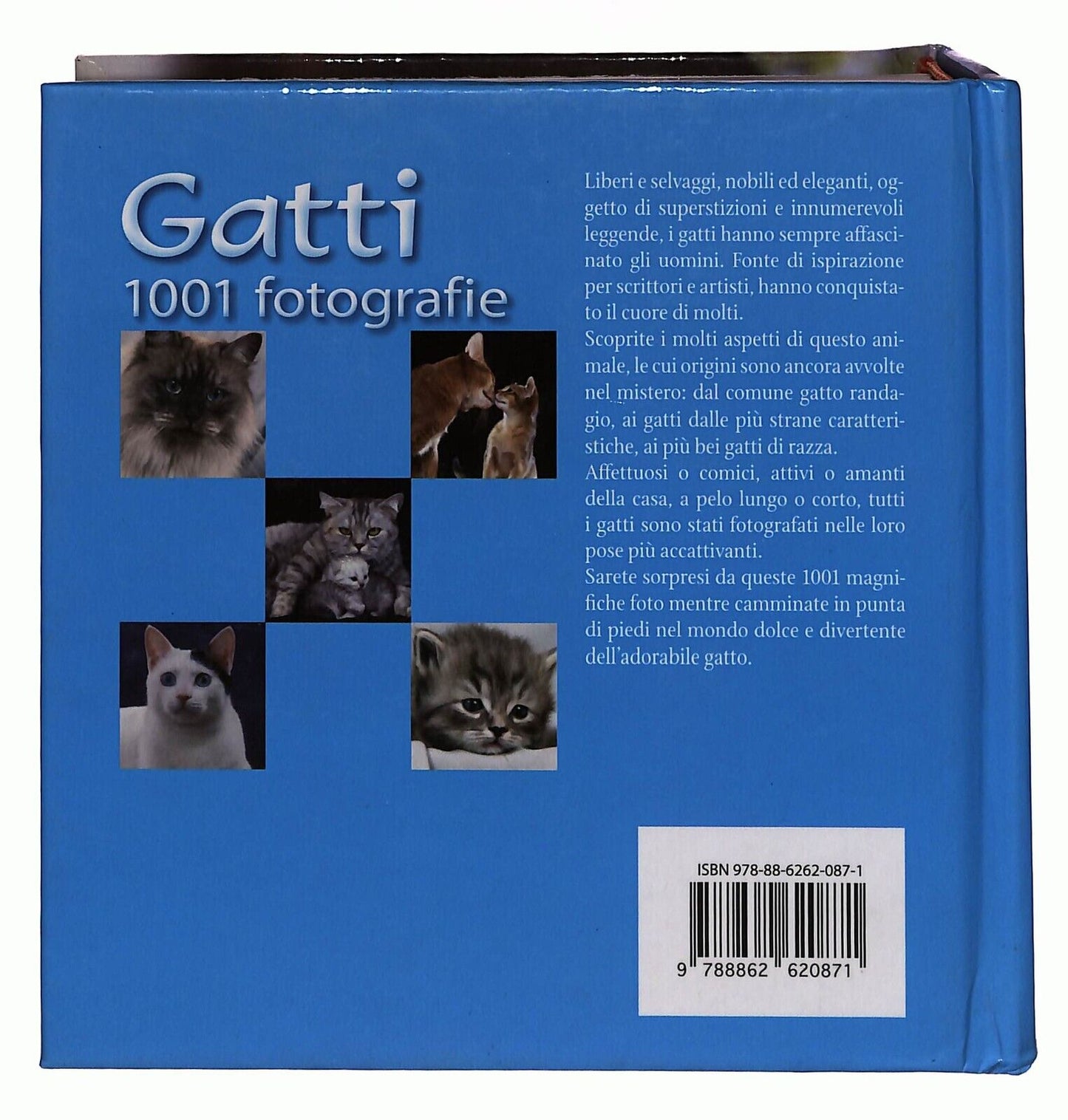 EBOND Gatti 1001 Fotografie Libro LI033189