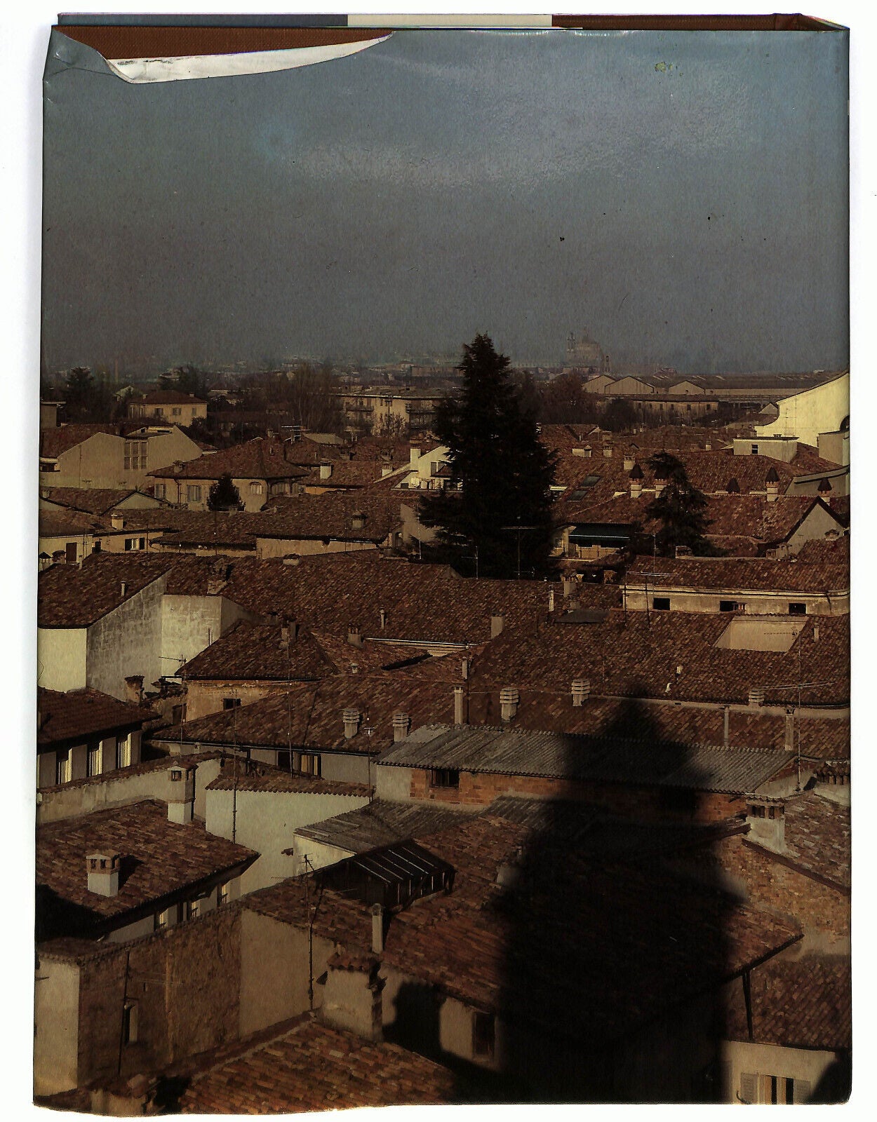 EBOND Vince In Bono Malum Di Vittorio Dornetti Libro LI033232