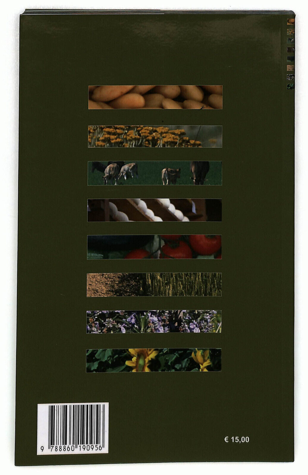 EBOND I Sapori Del Parco Di Cristina Cecchini e Luca Gorreri Libro LI033281