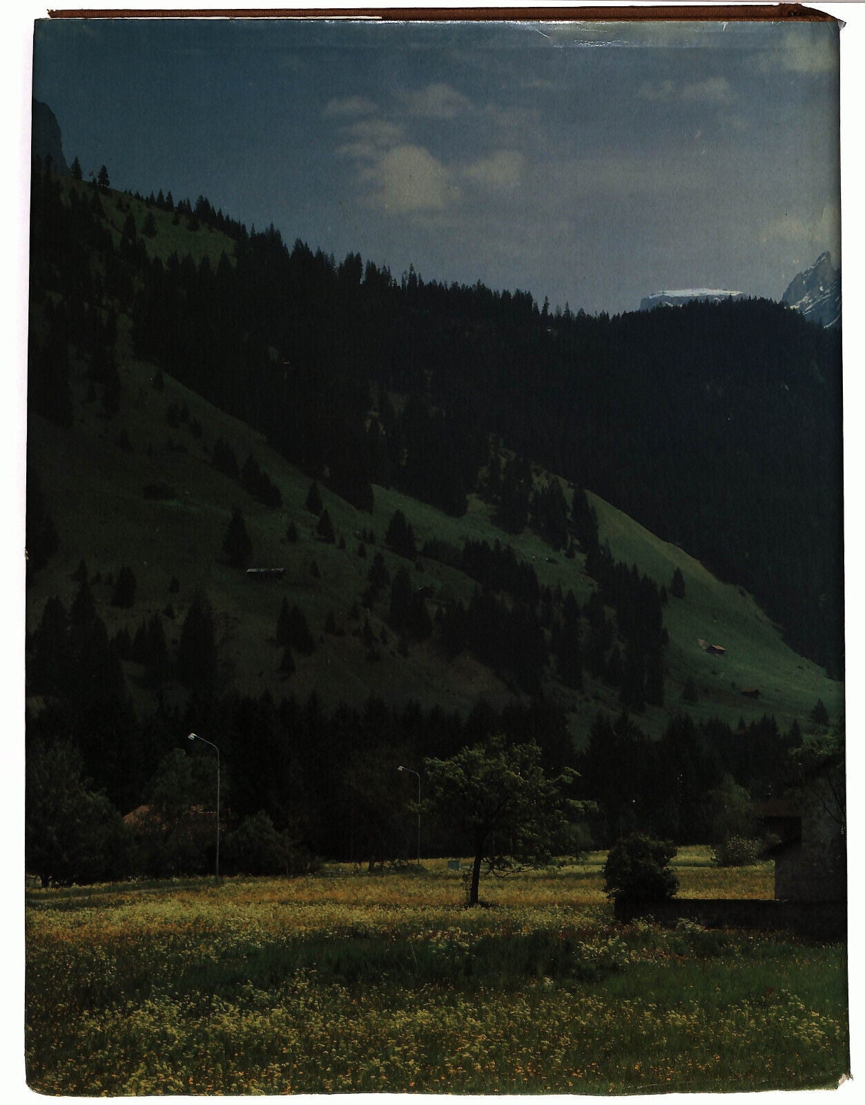 EBOND Natur Wunder Schweiz Di Willy Zeller Libro LI033327