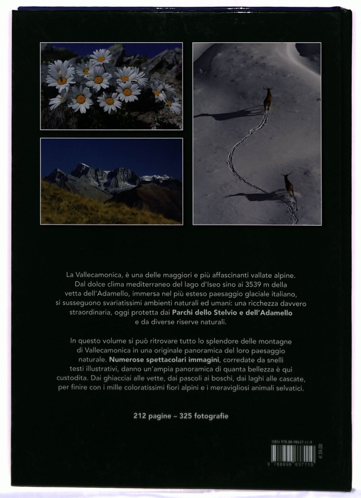 EBOND Valcamonica Natura Incantata Comersoli Ricci Equa 2016Li0033382 Libro LI033382