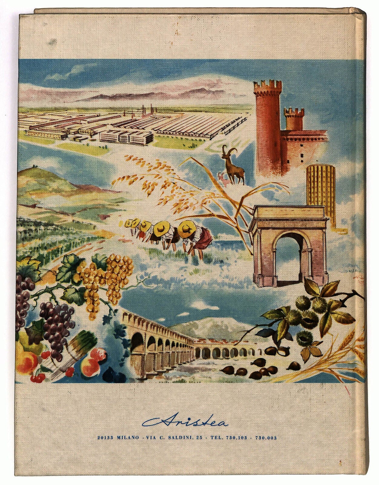 EBOND Meravigliosa Italia Enciclopedia Delle Regioni Piemonte Libro LI033402